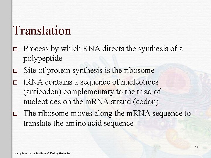 Translation o o Process by which RNA directs the synthesis of a polypeptide Site