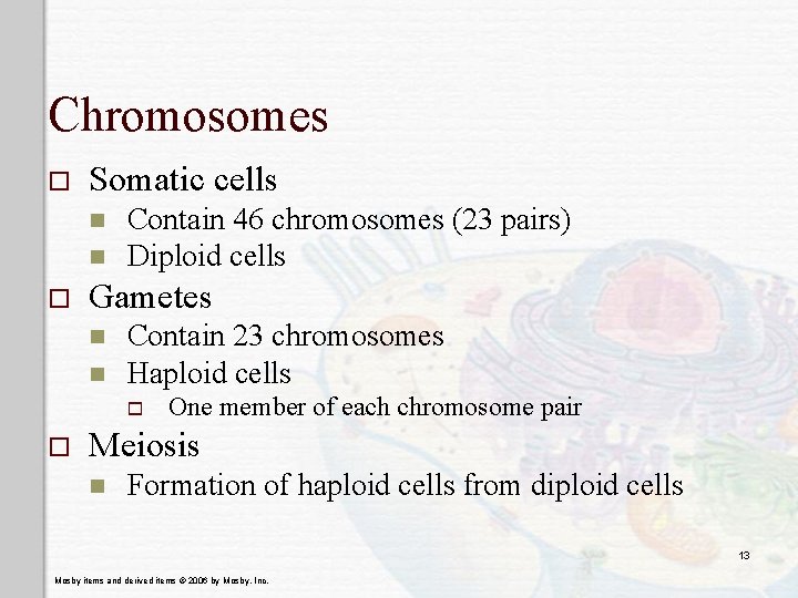 Chromosomes o Somatic cells n n o Contain 46 chromosomes (23 pairs) Diploid cells