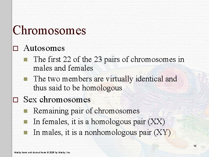 Chromosomes o Autosomes n n o The first 22 of the 23 pairs of