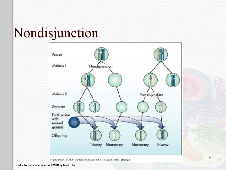 Nondisjunction 19 Mosby items and derived items © 2006 by Mosby, Inc. 