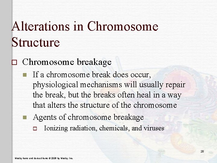 Alterations in Chromosome Structure o Chromosome breakage n n If a chromosome break does