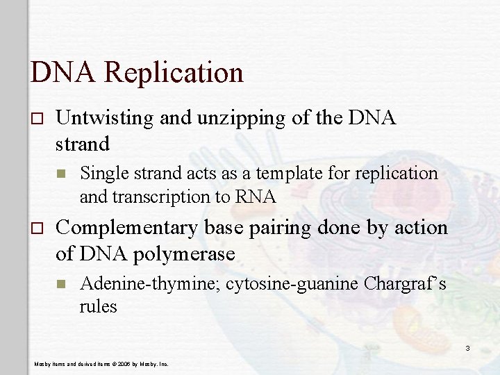 DNA Replication o Untwisting and unzipping of the DNA strand n o Single strand