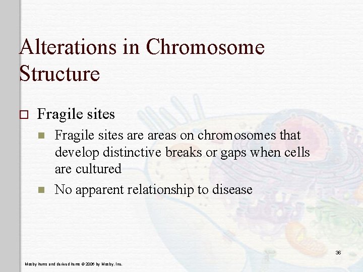 Alterations in Chromosome Structure o Fragile sites n n Fragile sites areas on chromosomes