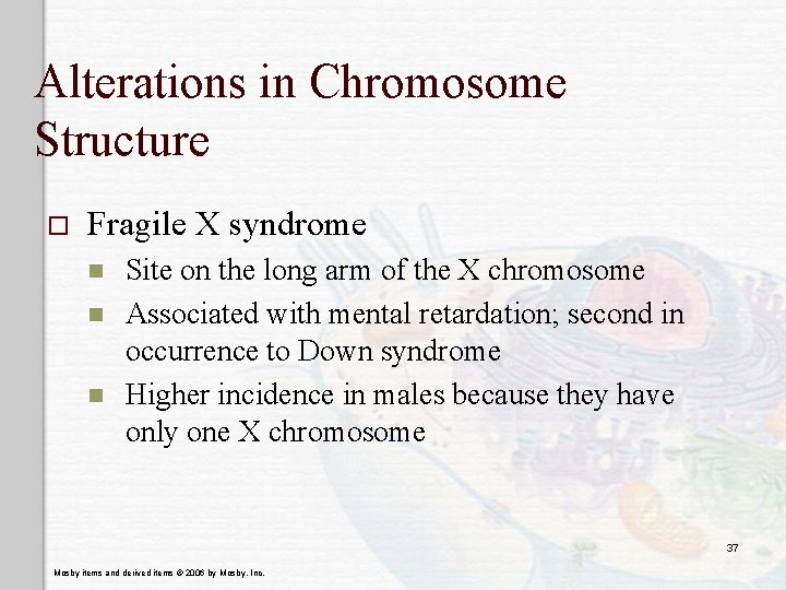 Alterations in Chromosome Structure o Fragile X syndrome n n n Site on the