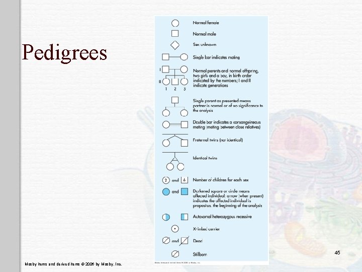 Pedigrees 45 Mosby items and derived items © 2006 by Mosby, Inc. 