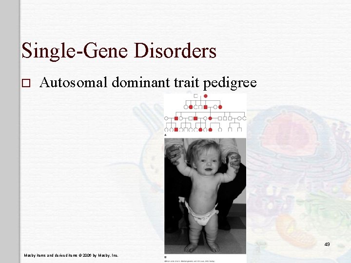 Single-Gene Disorders o Autosomal dominant trait pedigree 49 Mosby items and derived items ©