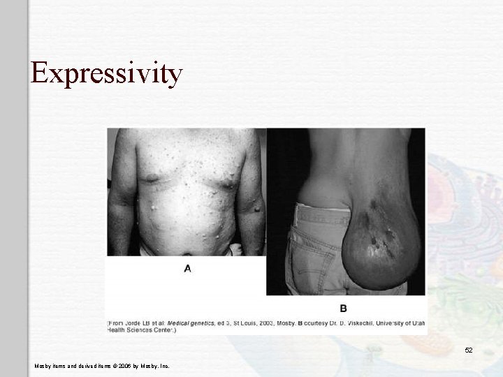 Expressivity 52 Mosby items and derived items © 2006 by Mosby, Inc. 