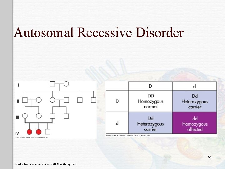 Autosomal Recessive Disorder 55 Mosby items and derived items © 2006 by Mosby, Inc.