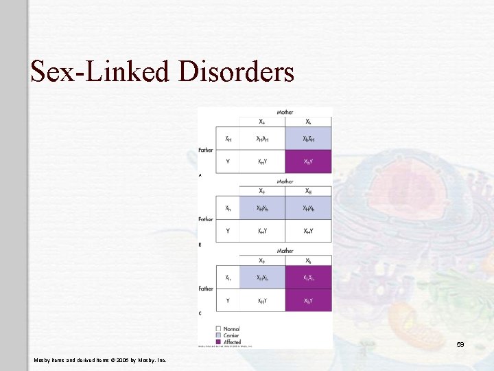 Sex-Linked Disorders 59 Mosby items and derived items © 2006 by Mosby, Inc. 