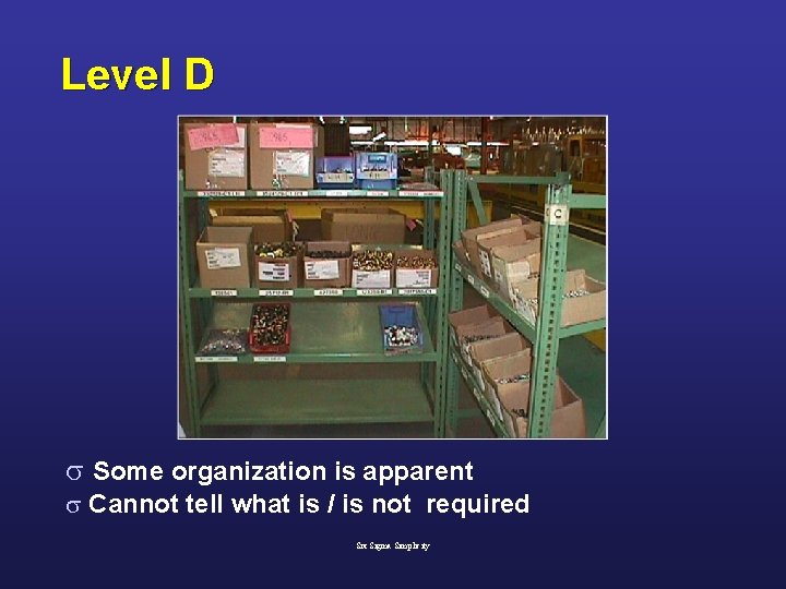 Level D s Some organization is apparent s Cannot tell what is / is
