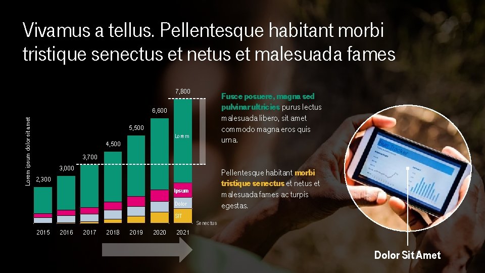 Vivamus a tellus. Pellentesque habitant morbi tristique senectus et netus et malesuada fames 7,