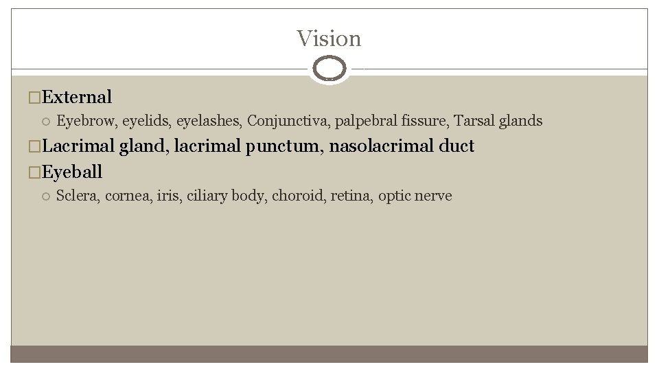 Vision �External Eyebrow, eyelids, eyelashes, Conjunctiva, palpebral fissure, Tarsal glands �Lacrimal gland, lacrimal punctum,