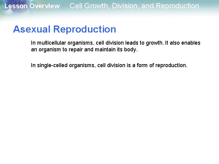 Lesson Overview Cell Growth, Division, and Reproduction Asexual Reproduction In multicellular organisms, cell division