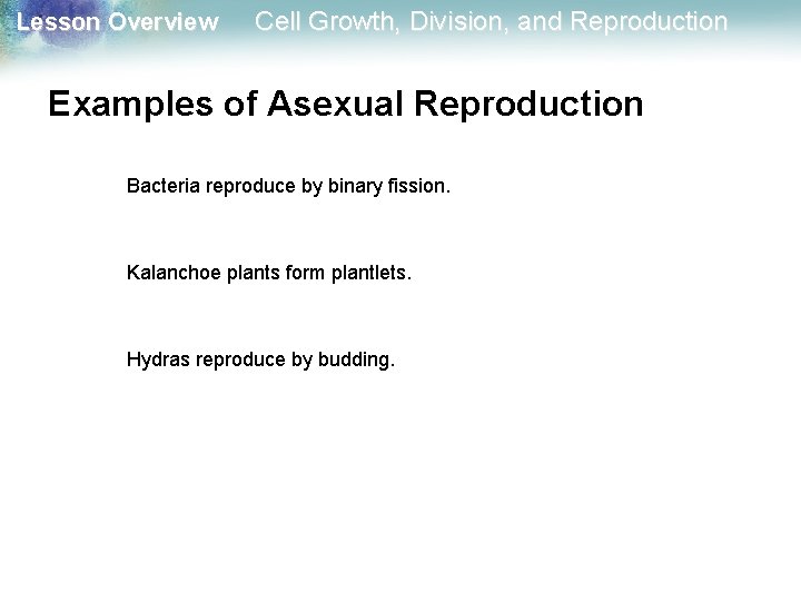 Lesson Overview Cell Growth, Division, and Reproduction Examples of Asexual Reproduction Bacteria reproduce by