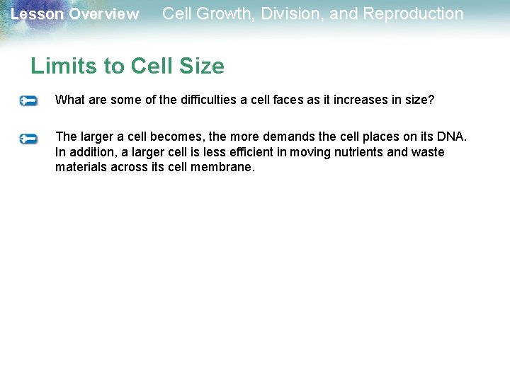 Lesson Overview Cell Growth, Division, and Reproduction Limits to Cell Size What are some