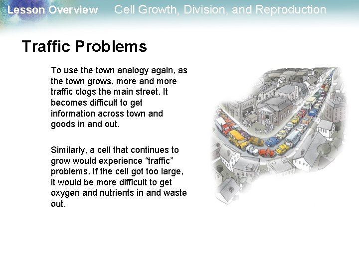Lesson Overview Cell Growth, Division, and Reproduction Traffic Problems To use the town analogy