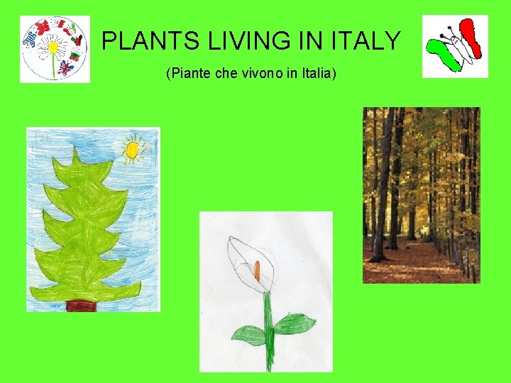 PLANTS LIVING IN ITALY (Piante che vivono in Italia) 