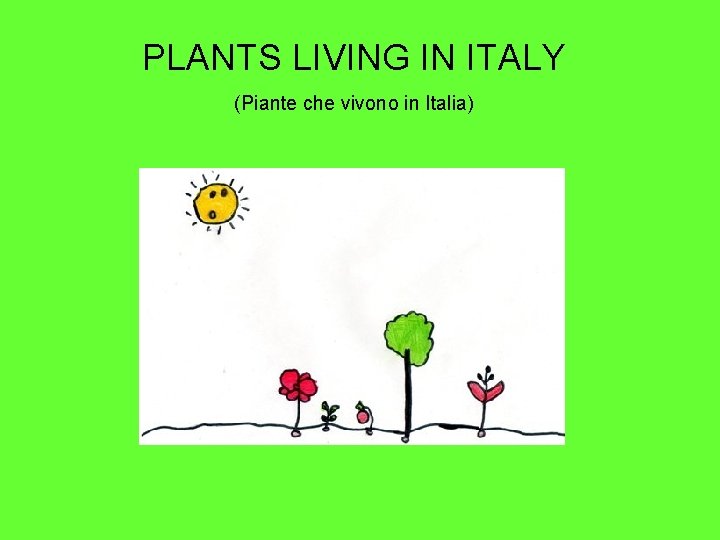 PLANTS LIVING IN ITALY (Piante che vivono in Italia) 