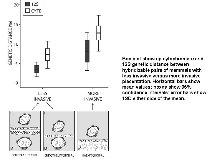 Box plot showing cytochrome b and 12 S genetic distance between hybridizable pairs of