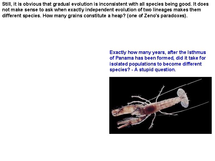 Still, it is obvious that gradual evolution is inconsistent with all species being good.