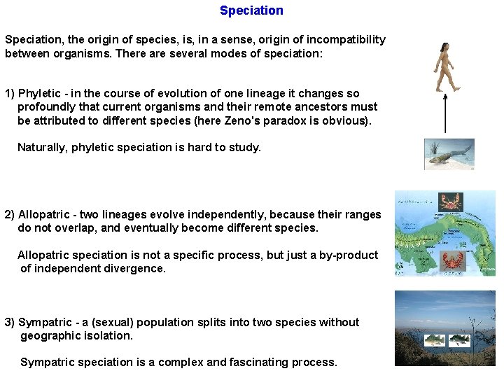 Speciation, the origin of species, in a sense, origin of incompatibility between organisms. There