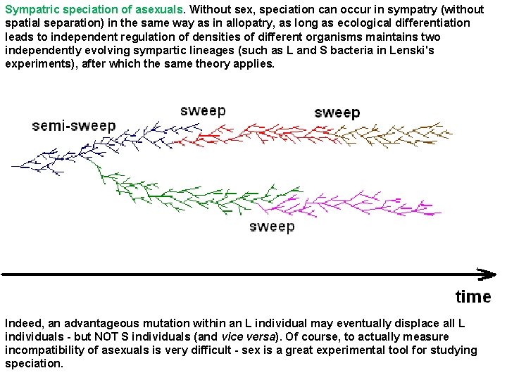 Sympatric speciation of asexuals. Without sex, speciation can occur in sympatry (without spatial separation)