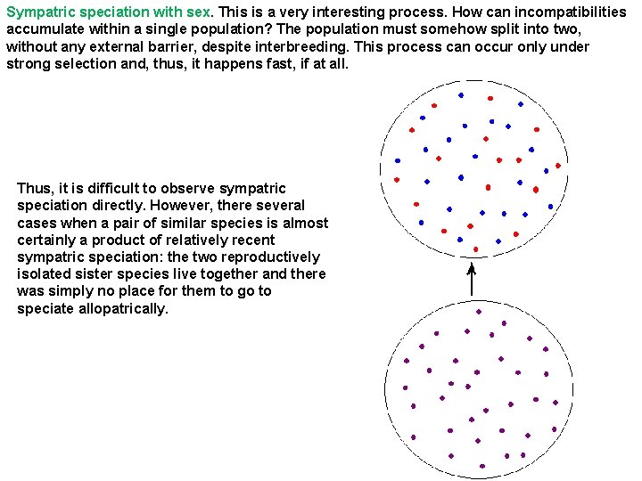 Sympatric speciation with sex. This is a very interesting process. How can incompatibilities accumulate