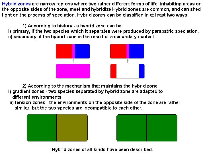 Hybrid zones are narrow regions where two rather different forms of life, inhabiting areas