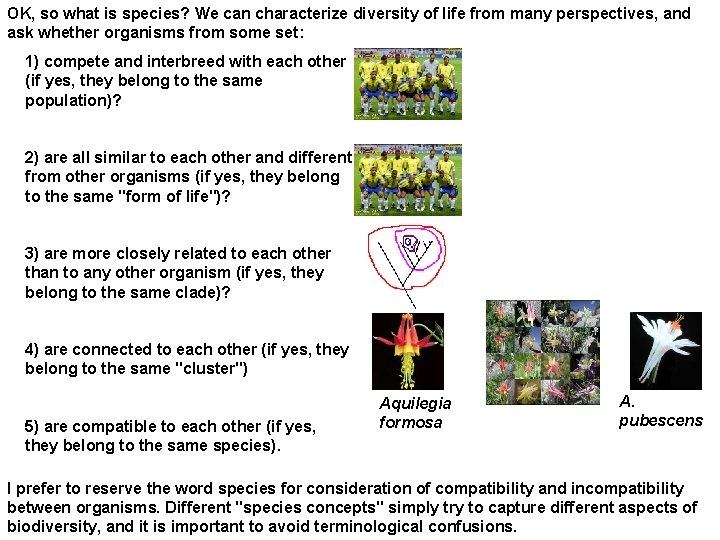 OK, so what is species? We can characterize diversity of life from many perspectives,