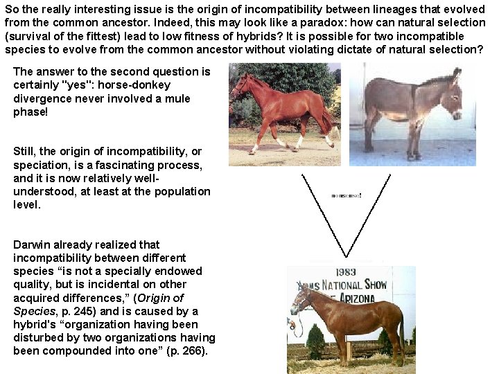 So the really interesting issue is the origin of incompatibility between lineages that evolved