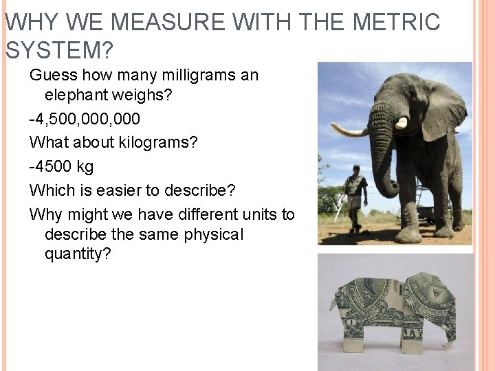 WHY WE MEASURE WITH THE METRIC SYSTEM? Guess how many milligrams an elephant weighs?