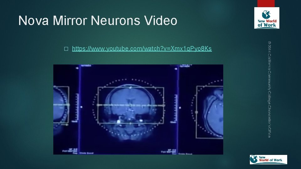 Nova Mirror Neurons Video � https: //www. youtube. com/watch? v=Xmx 1 q. Pyo 8