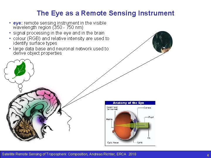 The Eye as a Remote Sensing Instrument • eye: remote sensing instrument in the