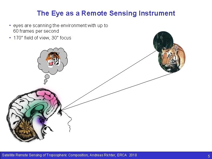 The Eye as a Remote Sensing Instrument • eyes are scanning the environment with