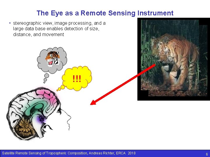 The Eye as a Remote Sensing Instrument • stereographic view, image processing, and a