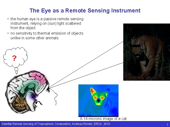 The Eye as a Remote Sensing Instrument • the human eye is a passive