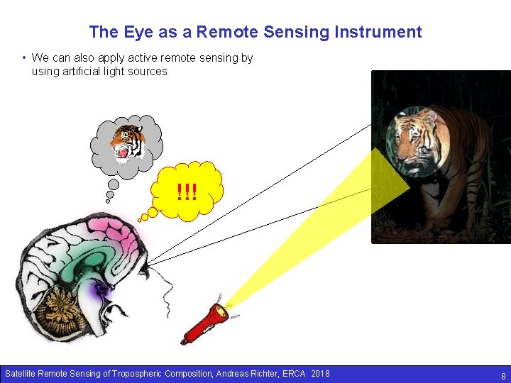 The Eye as a Remote Sensing Instrument • We can also apply active remote