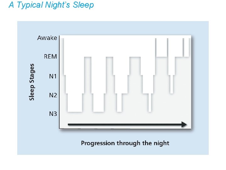 A Typical Night’s Sleep 