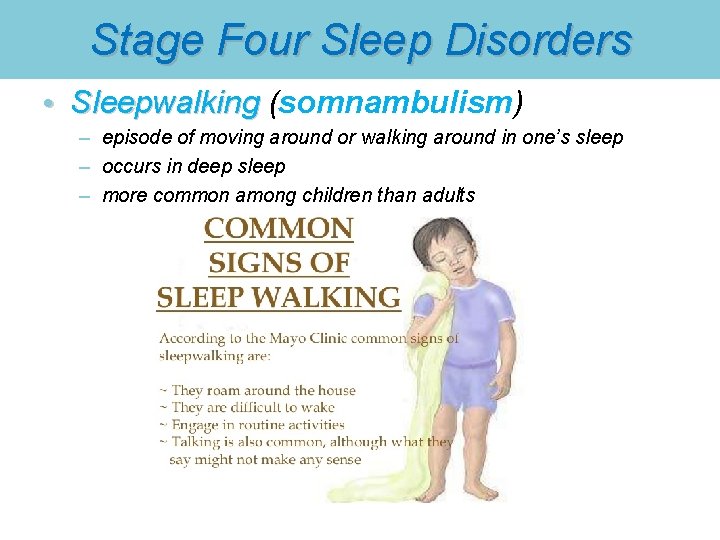 Stage Four Sleep Disorders • Sleepwalking (somnambulism) Sleepwalking – episode of moving around or