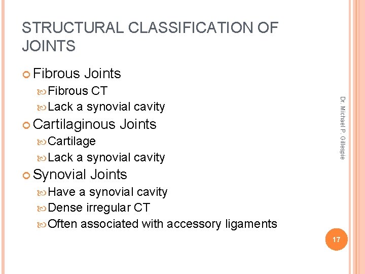 STRUCTURAL CLASSIFICATION OF JOINTS Fibrous Joints CT Lack a synovial cavity Cartilaginous Joints Cartilage