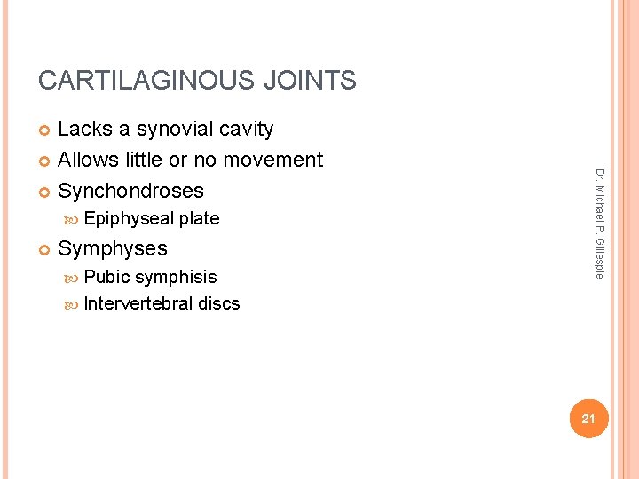 CARTILAGINOUS JOINTS Lacks a synovial cavity Allows little or no movement Synchondroses plate Symphyses