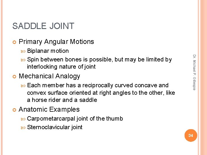 SADDLE JOINT Primary Angular Motions Biplanar Mechanical Analogy Each member has a reciprocally curved