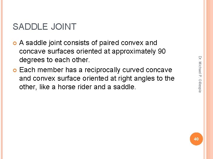 SADDLE JOINT A saddle joint consists of paired convex and concave surfaces oriented at