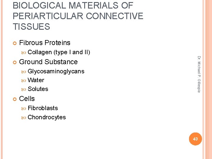 BIOLOGICAL MATERIALS OF PERIARTICULAR CONNECTIVE TISSUES Fibrous Proteins Collagen Ground Substance Glycosaminoglycans Water Solutes