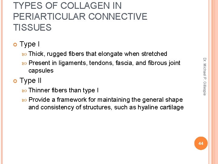 TYPES OF COLLAGEN IN PERIARTICULAR CONNECTIVE TISSUES Type I Thick, Type II Thinner fibers