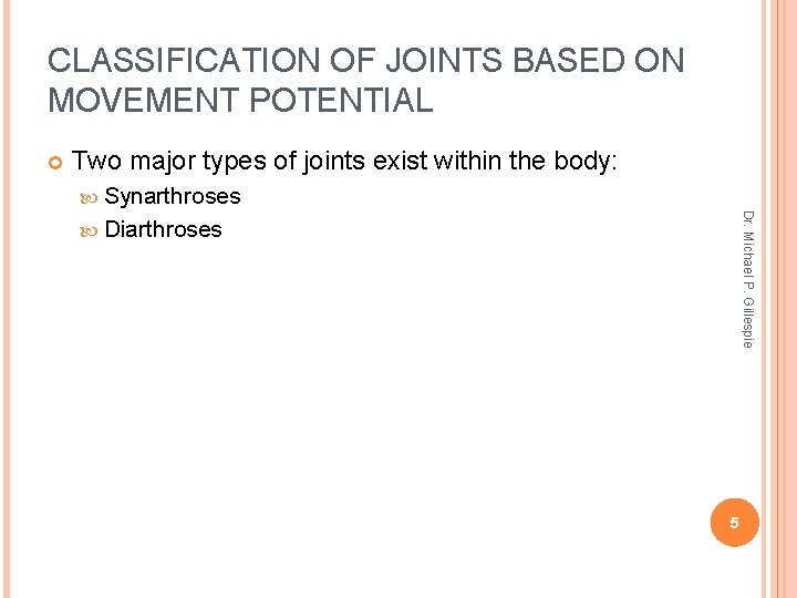 CLASSIFICATION OF JOINTS BASED ON MOVEMENT POTENTIAL Two major types of joints exist within