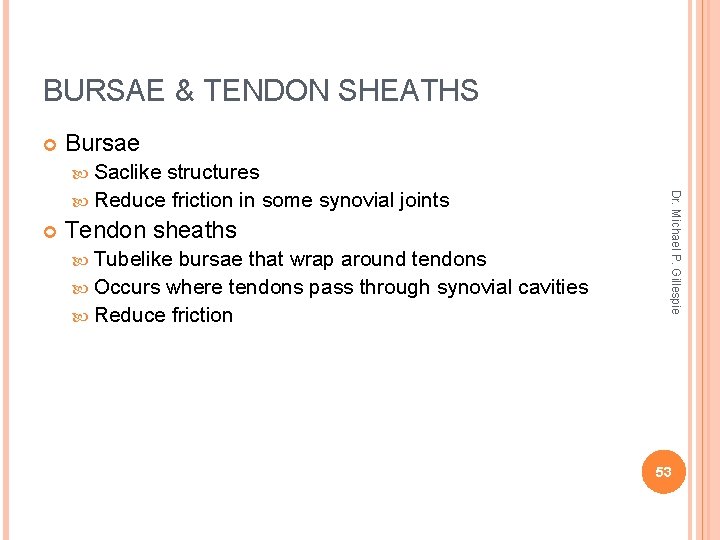 BURSAE & TENDON SHEATHS Bursae Saclike Tendon sheaths Tubelike bursae that wrap around tendons