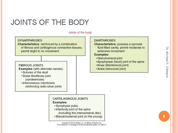 JOINTS OF THE BODY Dr. Michael P. Gillespie 6 