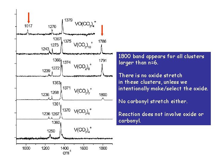 1800 band appears for all clusters larger than n=6. There is no oxide stretch