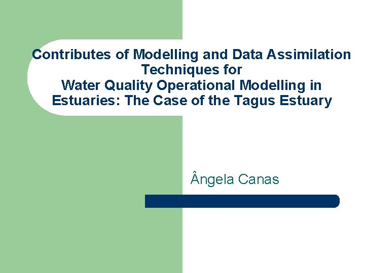 Contributes of Modelling and Data Assimilation Techniques for Water Quality Operational Modelling in Estuaries:
